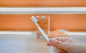 ポケットミニハブラシ